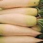 330px-daikon.japan.jpg